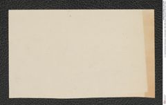 k.k. naturhistorisches Hofmuseum, Intendanzakten 1885-1896 (Hauer), Aktenzahl Z.594/1892, Seite 2